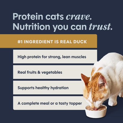 Original Grain Free Real Duck Recipe Natural Wet Canned Cat Food, 5.5 Oz. Can, Pack of 12